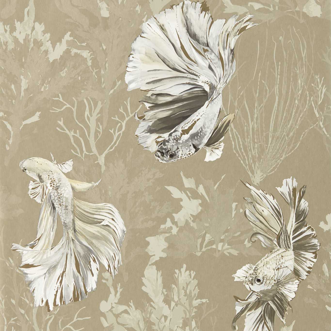 Harlequin Colour I Halfmoon 112765 Harlequin Colour I Halfmoon