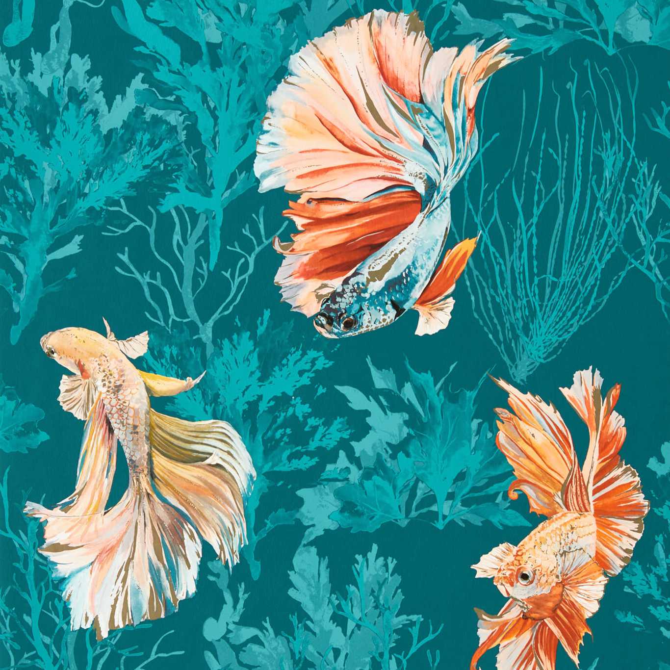 Harlequin Colour I Halfmoon 112767 Harlequin Colour I Halfmoon