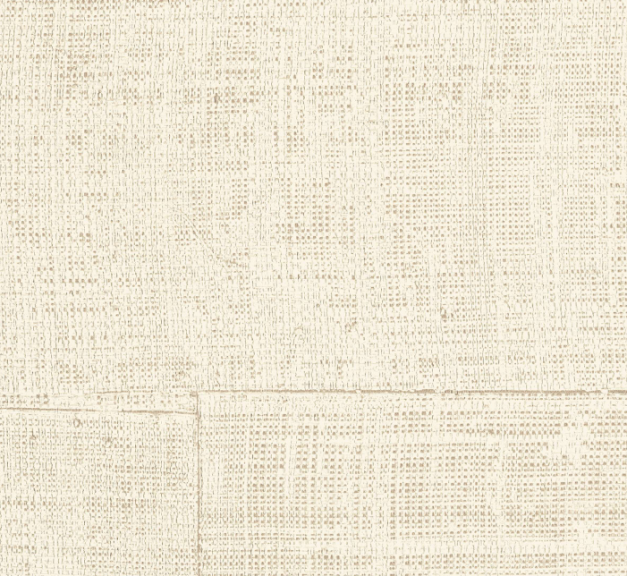 CDP06LCAVP88021